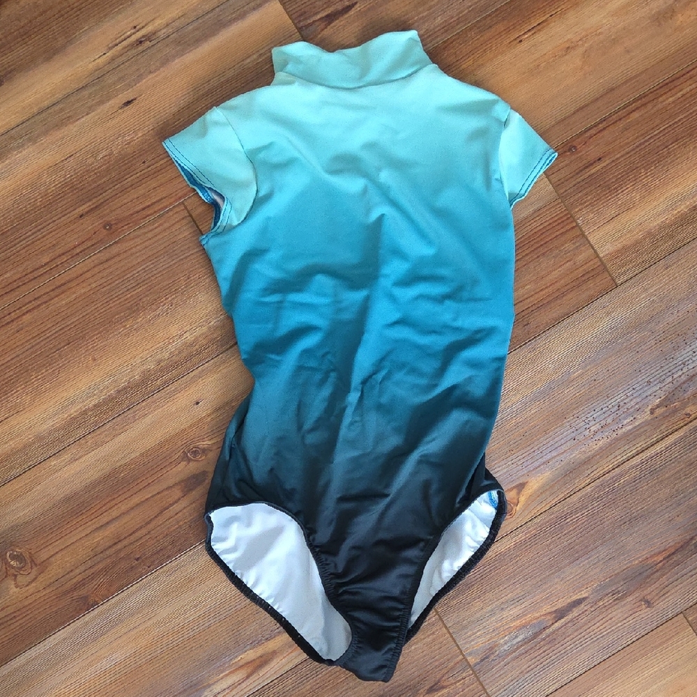 Womens Ombre Teal-to-Black Dance Leotard SmallAdult